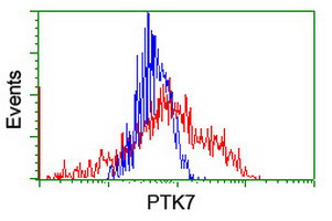 PTK7 Antibody in Flow Cytometry (Flow)