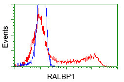 RALBP1 Antibody in Flow Cytometry (Flow)