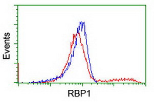 RBP1 Antibody in Flow Cytometry (Flow)