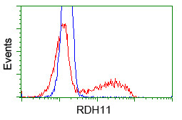 RDH11 Antibody in Flow Cytometry (Flow)