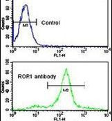 ROR1 Antibody in Flow Cytometry (Flow)