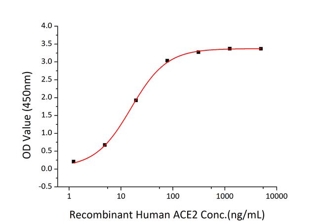 SARS-CoV-2 Spike Protein S1 (aa14-683), His-Avi Tag Protein in Functional assay (FN)
