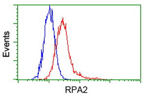 RPA2 Antibody in Flow Cytometry (Flow)
