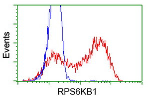 RPS6KB1 Antibody in Flow Cytometry (Flow)