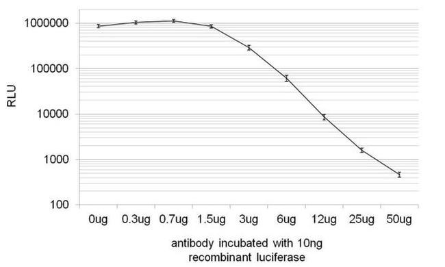 Red Firefly Luciferase Antibody in Neutralization (Neu)