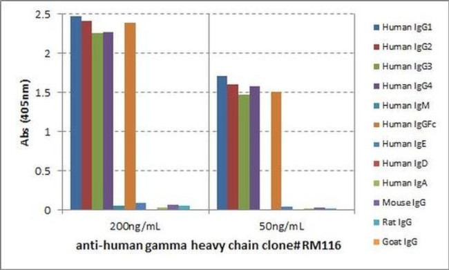 Human IgG (Heavy chain) Secondary Antibody in ELISA (ELISA)