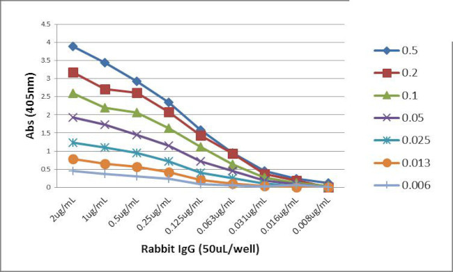 Rabbit IgG (H+L) Secondary Antibody in ELISA (ELISA)