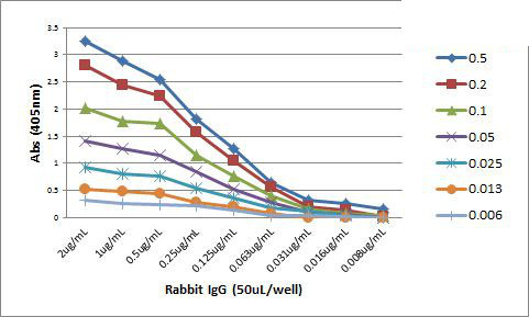 Rabbit IgG Fc Secondary Antibody in ELISA (ELISA)