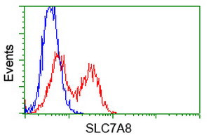 SLC7A8 Antibody in Flow Cytometry (Flow)