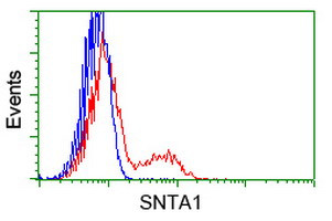 SNTA1 Antibody in Flow Cytometry (Flow)