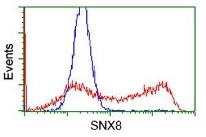 SNX8 Antibody in Flow Cytometry (Flow)