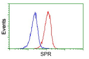 SPR Antibody in Flow Cytometry (Flow)