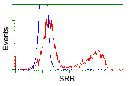 SRR Antibody in Flow Cytometry (Flow)