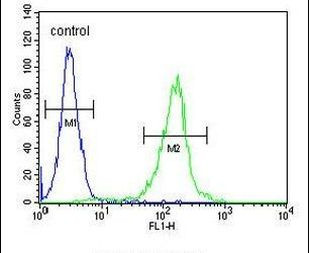 STEAP2 Antibody in Flow Cytometry (Flow)
