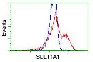 SULT1A1 Antibody in Flow Cytometry (Flow)