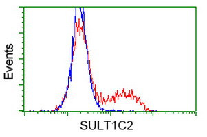 SULT1C2 Antibody in Flow Cytometry (Flow)