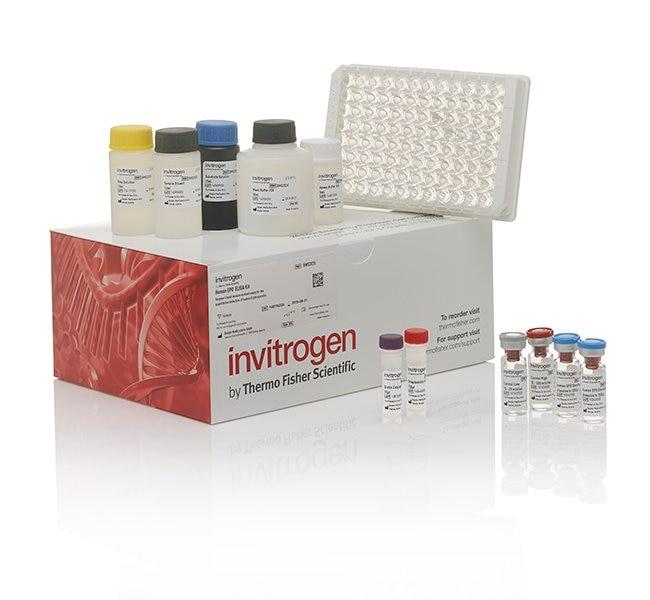 Invitrogen™ Dynabeads™ SARS-CoV-2 Spike Ig Total ELISA Kit 96 Products