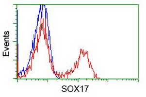 Sox17 Antibody in Flow Cytometry (Flow)