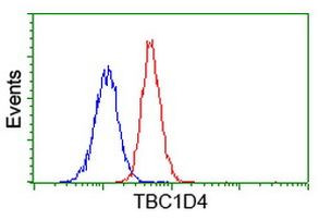 TBC1D4 Antibody in Flow Cytometry (Flow)