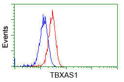 TBXAS Antibody in Flow Cytometry (Flow)