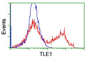 TLE1 Antibody in Flow Cytometry (Flow)