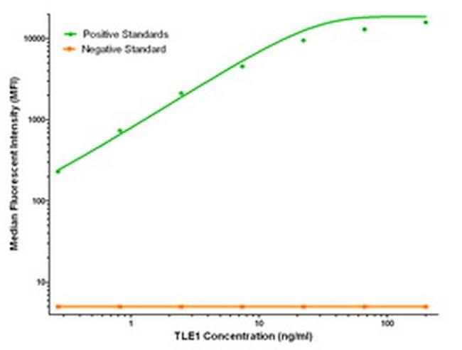 TLE1 Antibody in Luminex (LUM)