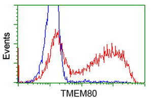 TMEM80 Antibody in Flow Cytometry (Flow)