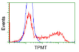 TPMT Antibody in Flow Cytometry (Flow)