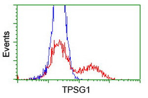 TPSG1 Antibody in Flow Cytometry (Flow)
