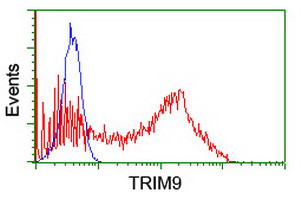 TRIM9 Antibody in Flow Cytometry (Flow)