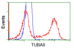 TUBA8 Antibody in Flow Cytometry (Flow)
