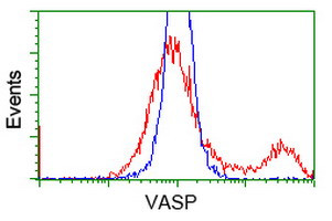 VASP Antibody in Flow Cytometry (Flow)