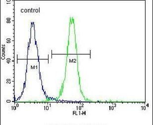 ZNF611 Antibody in Flow Cytometry (Flow)
