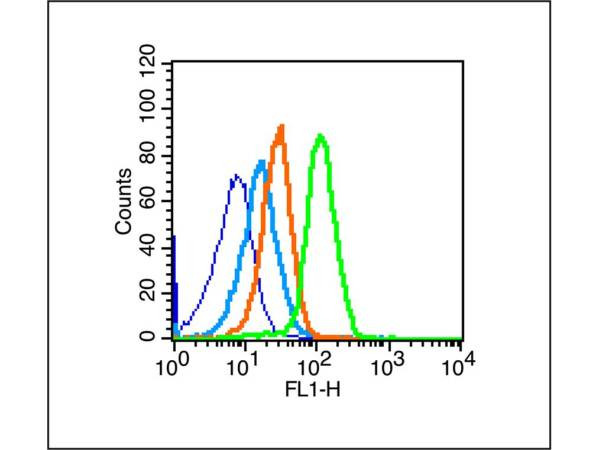 p75 NGF Receptor Antibody in Flow Cytometry (Flow)