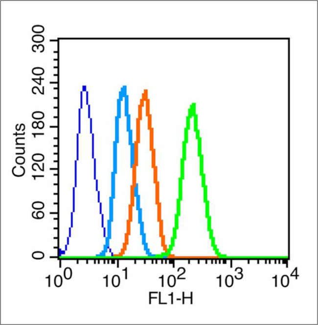Connexin 43 Antibody in Flow Cytometry (Flow)