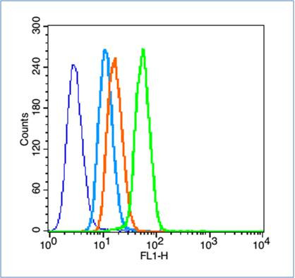 HIF-1 Alpha Antibody in Flow Cytometry (Flow)