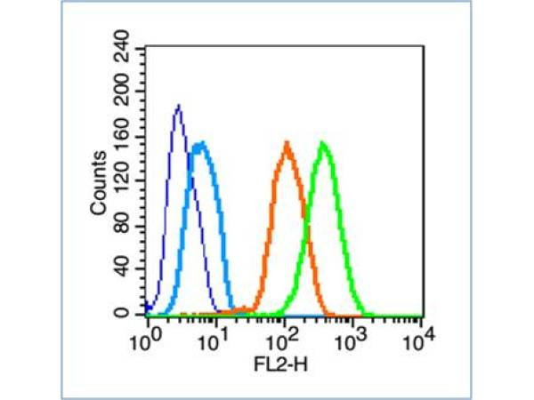 NLGN1/NLGN2 Antibody in Flow Cytometry (Flow)