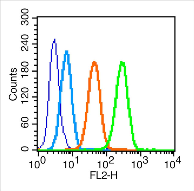 FSH Receptor Antibody in Flow Cytometry (Flow)