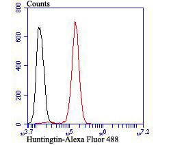 Huntingtin Antibody in Flow Cytometry (Flow)