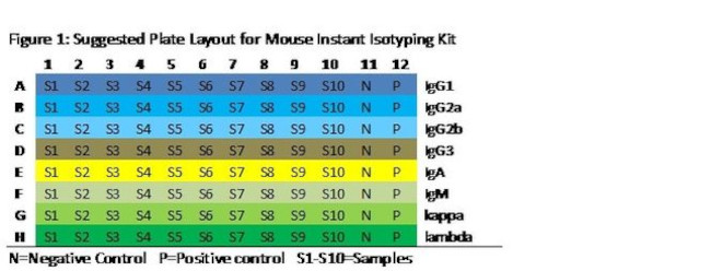 Ig Isotyping Mouse Instant ELISA™ Kit
