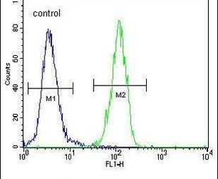 p21 Antibody in Flow Cytometry (Flow)