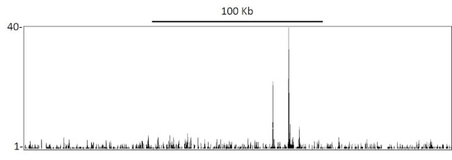 p53 Antibody in ChIP-Sequencing (ChIP-seq)