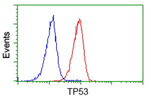 p53 Antibody in Flow Cytometry (Flow)