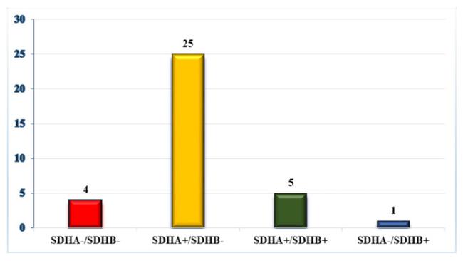 SDHB Antibody in Immunohistochemistry (IHC)