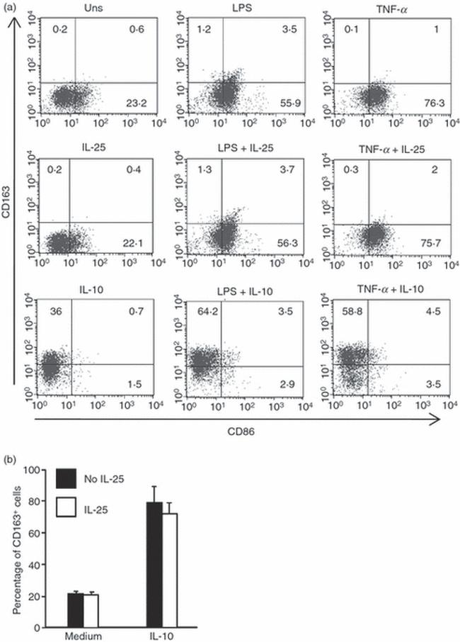 CD23 Antibody in Flow Cytometry (Flow)