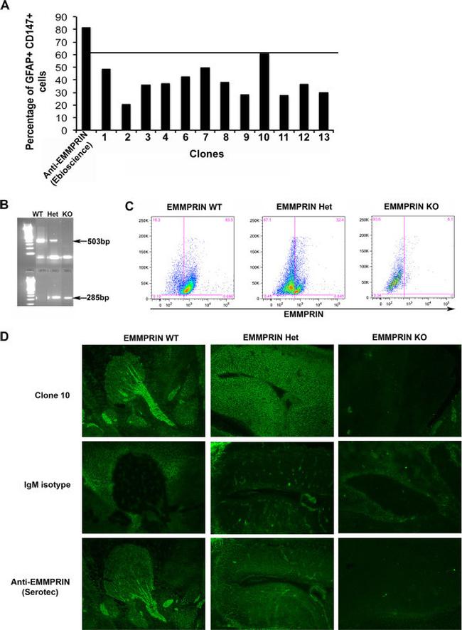 CD147 Monoclonal Antibody (RL73), Functional Grade (16-1471-82) CD147 Monoclonal Antibody (RL73), Functional Grade (16-1471-82)