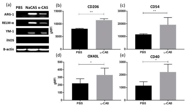 CD252 (OX40 Ligand) Antibody in Flow Cytometry (Flow)