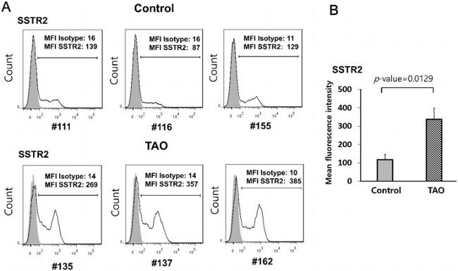 SSTR2 Antibody in Flow Cytometry (Flow)
