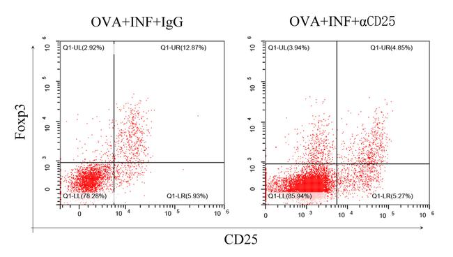 CD25 Antibody in Neutralization (Neu)
