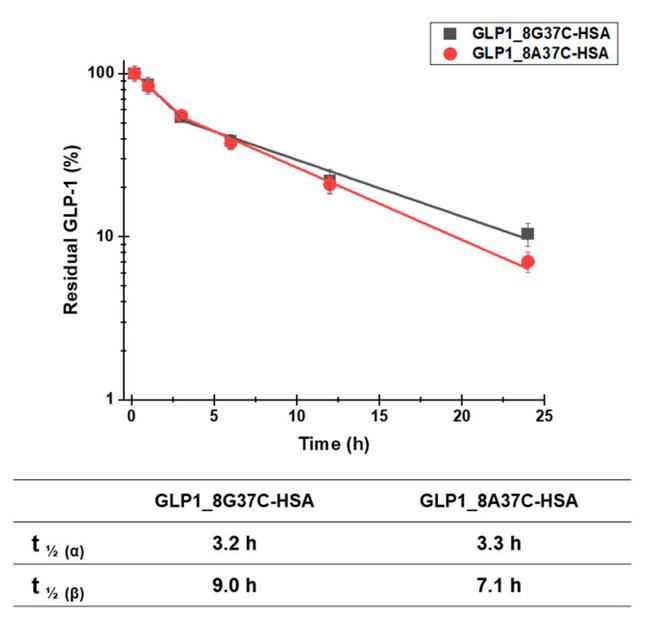 GLP-1 Antibody in ELISA (ELISA)